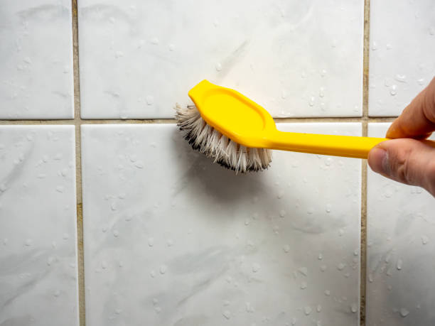 Best Black Mold Removal  in Westminster, CA