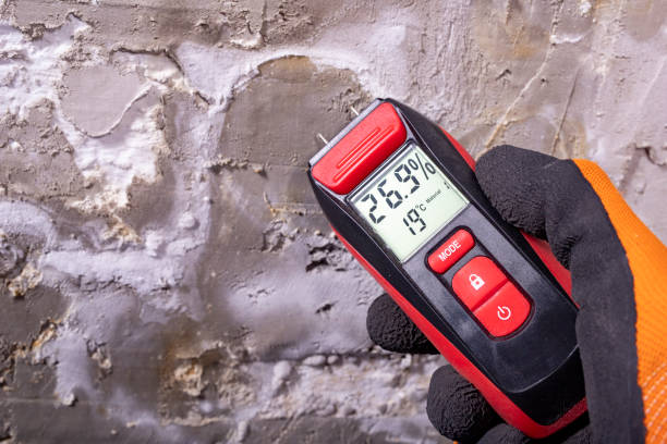 Best Office Mold Removal Services  in Westminster, CA
