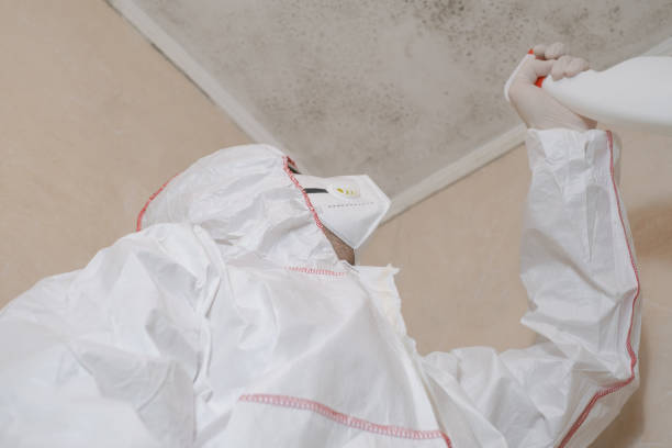 Best Mold Testing  in Westminster, CA